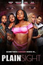 Watch Plain Sight Sflix