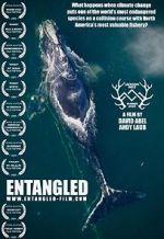 Watch Entangled: The Race to Save Right Whales from Extinction Sflix
