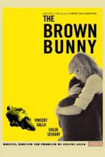 Watch The Brown Bunny Sflix