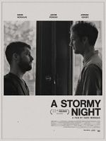 Watch A Stormy Night Sflix