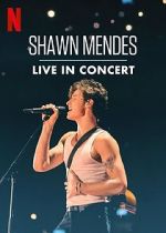 Watch Shawn Mendes: Live in Concert Sflix