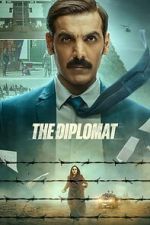 Watch The Diplomat Sflix