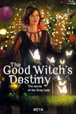 Watch The Good Witchs Destiny Sflix