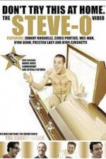 Watch Don't Try This at Home The Steve-O Video Sflix