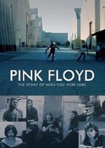 Watch Pink Floyd: The Story of Wish You Were Here Sflix