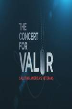 Watch The Concert for Valor Sflix