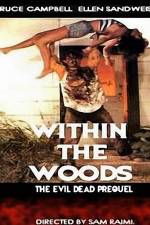 Watch Within the Woods Sflix