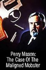 Watch Perry Mason: The Case of the Maligned Mobster Sflix