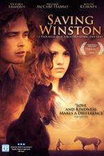 Watch Saving Winston Sflix