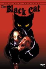 Watch Black Cat Sflix