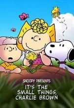 Watch Snoopy Presents: It's the Small Things, Charlie Brown (TV Special 2022) Sflix
