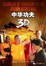 Watch Secrets of Shaolin with Jason Scott Lee Sflix