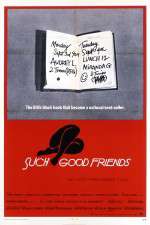 Watch Such Good Friends Sflix