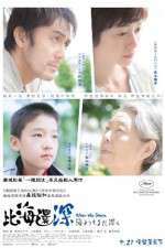 Watch After the Storm Sflix