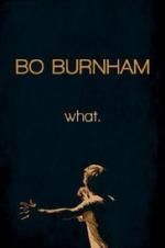 Watch Bo Burnham: what. Sflix