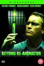 Watch Beyond Re-Animator Sflix