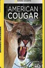 Watch National Geographic - American Cougar Sflix