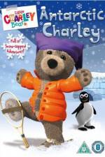 Watch Little Charley Bear - Antarctic Charley Sflix
