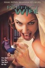 Watch The Perfect Wife Sflix