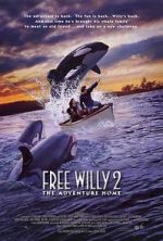 Watch Free Willy 2: The Adventure Home Sflix