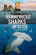 Watch Hammerhead Sharks Up Close with Bertie Gregory Sflix