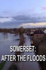 Watch Somerset: After the Floods Sflix