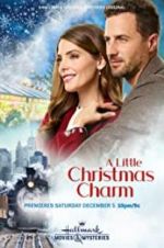 Watch A Little Christmas Charm Sflix