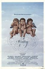 Watch A Wedding Sflix