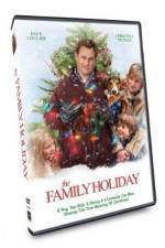 Watch The Family Holiday Sflix