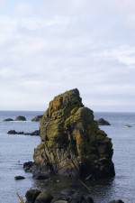 Watch Mad Little Island Sflix