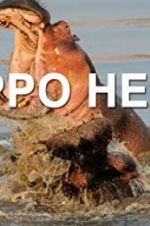Watch Hippo Hell Sflix