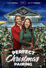 Watch A Perfect Christmas Pairing Sflix
