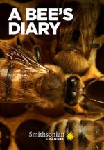 Watch A Bee\'s Diary (TV Special 2022) Sflix