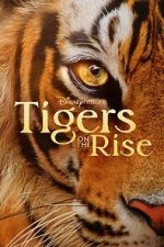 Watch Tigers on the Rise Sflix