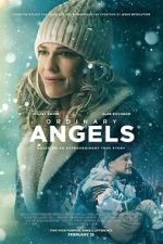 Watch Ordinary Angels Sflix