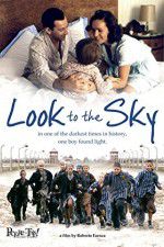 Watch Look to the Sky Sflix