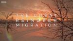 Watch All Aboard! The Great Reindeer Migration Sflix