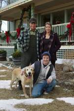 Watch Hallmark Hall of Fame A Dog Named Christmas Sflix