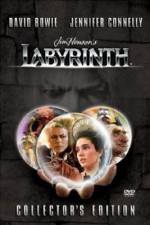 Watch Labyrinth Sflix
