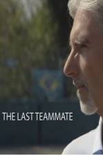 Watch Senna The Last Teammate Sflix