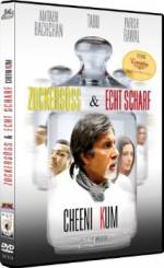 Watch Cheeni Kum Sflix