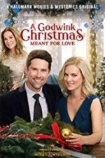 Watch A Godwink Christmas: Meant for Love Sflix