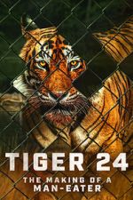 Watch Tiger 24 Sflix