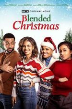 Watch Blended Christmas Sflix