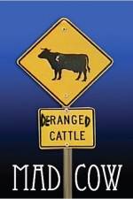 Watch Mad Cow Sflix