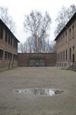 Watch Made in Auschwitz: The Untold Story of Block 10 Sflix