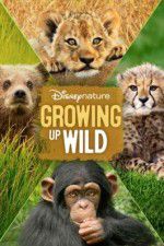 Watch Growing Up Wild Sflix