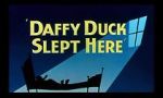 Watch Daffy Duck Slept Here (Short 1948) Sflix
