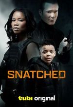 Watch Snatched Sflix