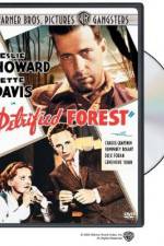 Watch The Petrified Forest Sflix